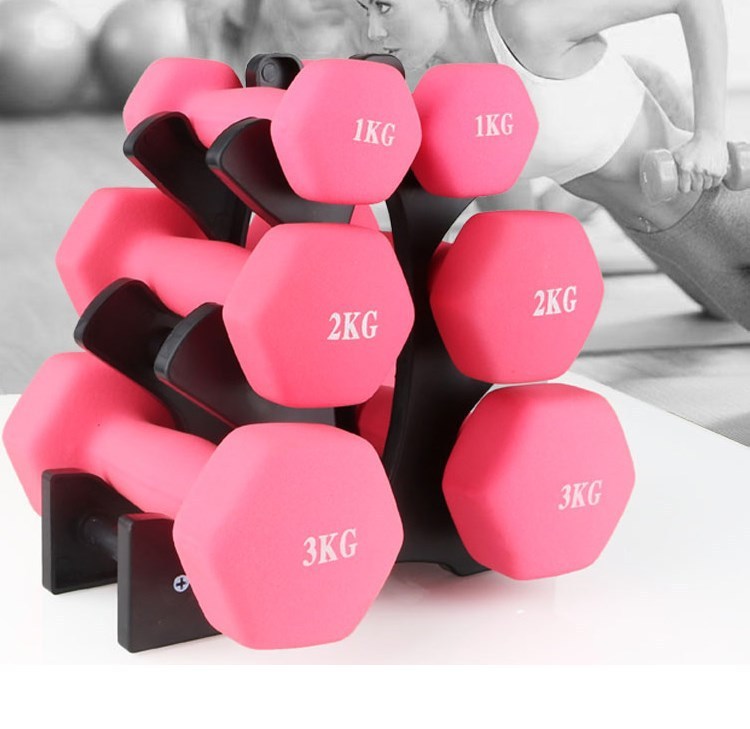 Fitness Dumbbell With Rack Holder Put Home Dumbbell Rack